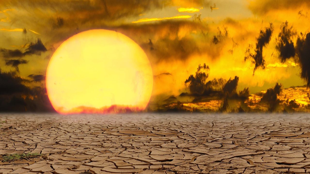 تموز 2023.. الشهر الأعلى حرارة في التاريخ على مستوى العالم