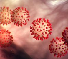 معلومات هامة عن فيروس كورونا: ما هي شدة المرض وكيف يؤثر على الجسم