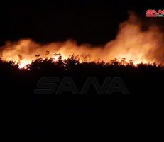 السيطرة على حريق جبل كفرلاها بريف مصياف بعدما أتى على 5 دونمات من الحراج الطبيعية
