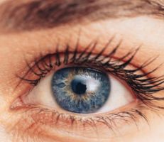شبكية العين قد تكشف خطر الإصابة بمرض الباركنسون!