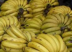 سعر الكيلو  الواحد يتجاوز الـ 50 ألف ..غرفة الزراعة : أغلب أصناف الموز الموجودة في السوق حالياً مصدرها التهريب وليس من طرطوس