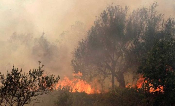 منصة الغابات ومراقبة الحرائق تحذر من مستويات خطورة مرتفعة للحرائق يوم الغد