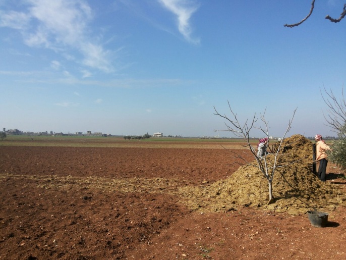 "الزراعة" قرار بتعديل ميزان استعمال الأراضي في حمص